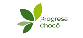 Prochoco_Mesa de trabajo 1-94